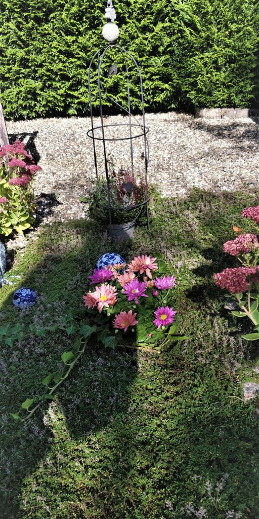 Dazu bieten wir das natürliche Herbstambiente aus unserem Garten an.
