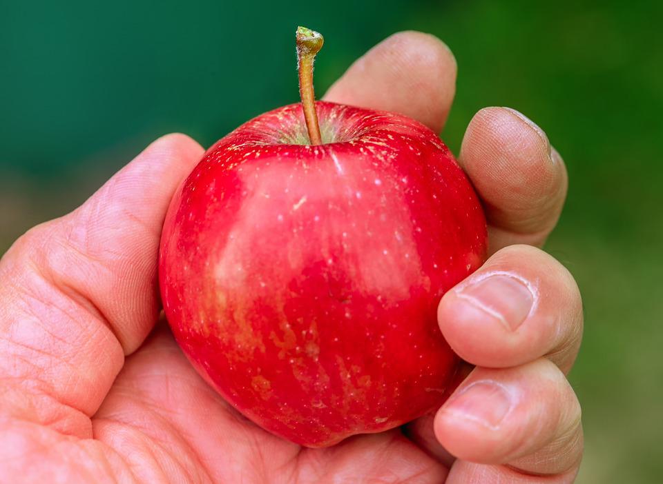 Schnelle Apfelgerichte zum Selbermachen