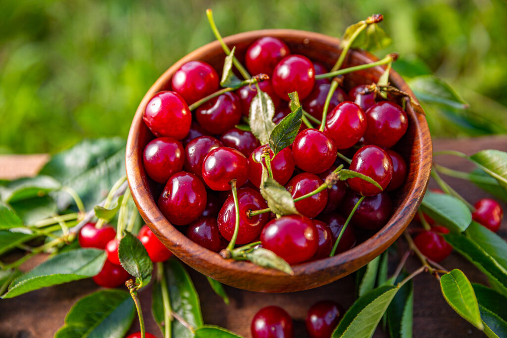 Kirschen gesundes erfrischendes Sommerobst