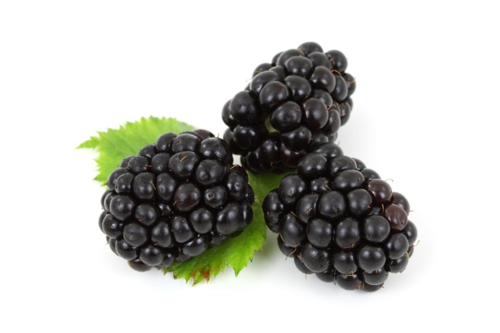 Beste Fitmacher Beeren.Brombeeren