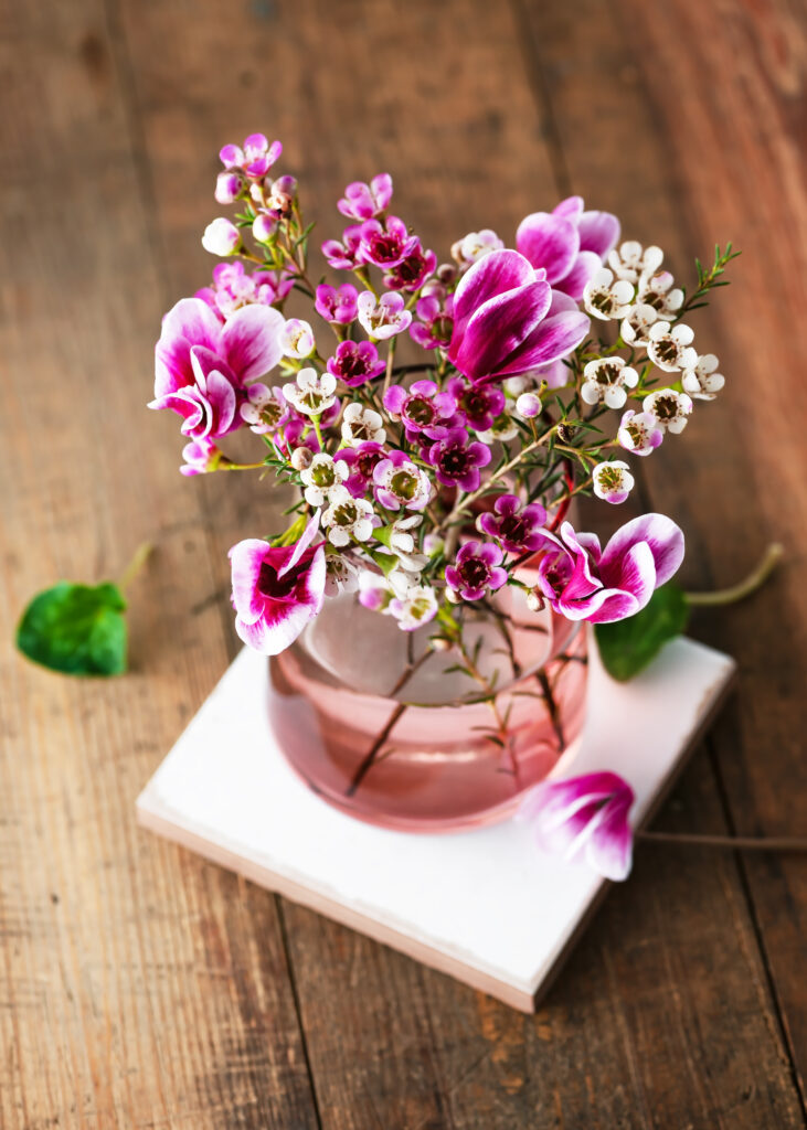 Wie pflege ich im Winter meine Schnittblumen ?  