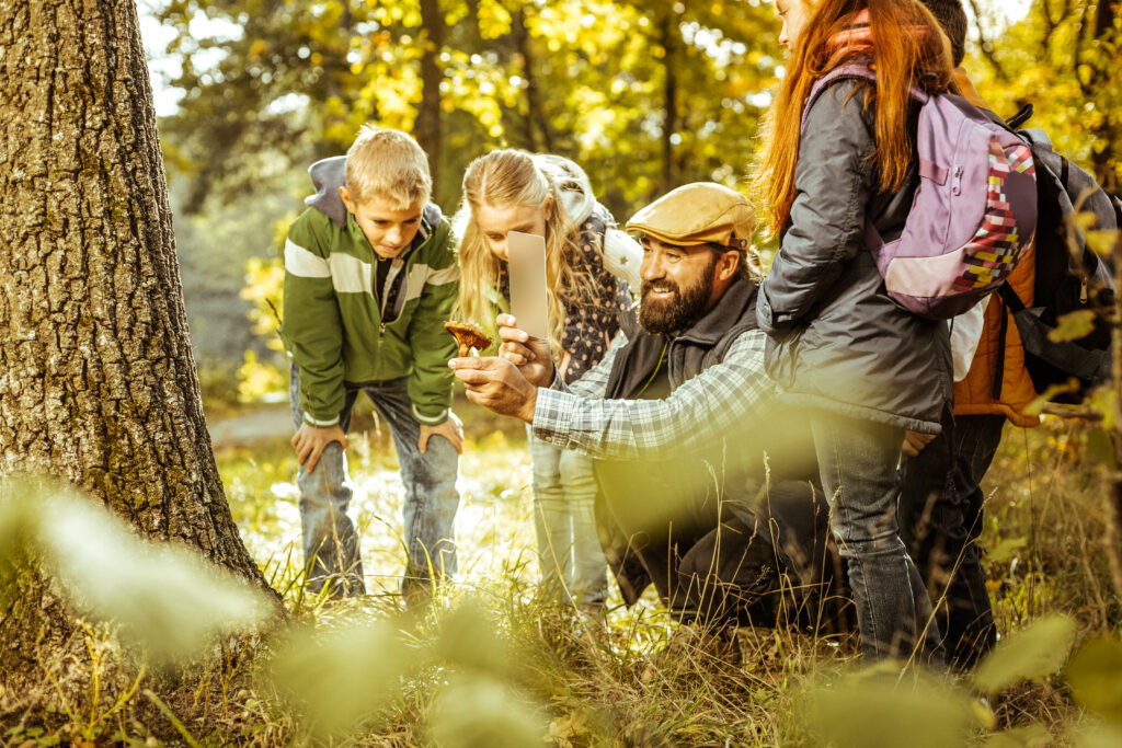 Achtsamkeit im Frühling mit Wandern ist gesund