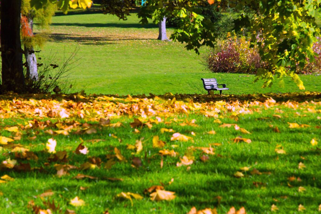 Gartenpflege im August und September
Tipps für einen blühenden Spätsommergarten und die richtige Herbstbepflanzung