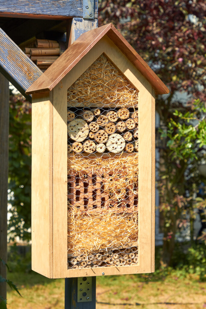 Insektenhotels selbst bauen für den Garten