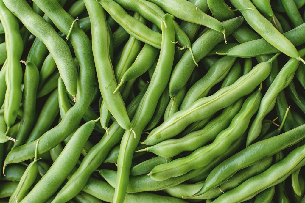 Gesunde Grüne Bohnen Rezepte