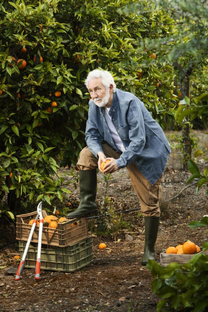 Warum ist Gartenarbeit für Senioren gesund?