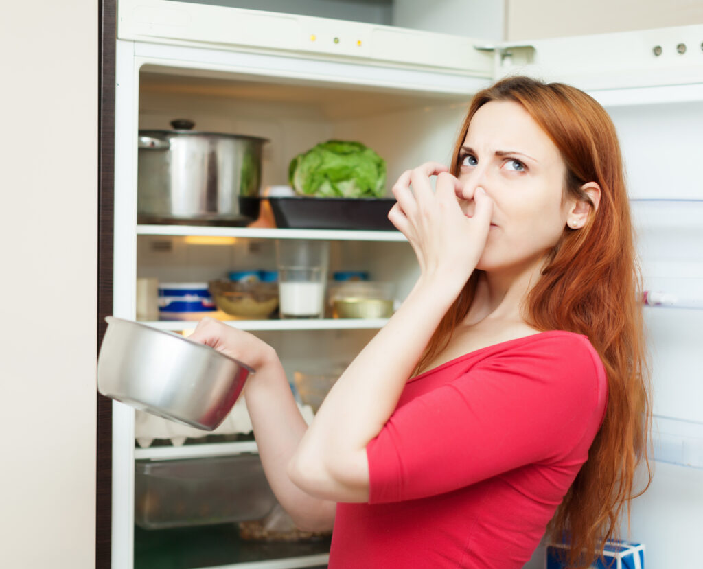 Kühlschrank richtig reinigen und einräumen