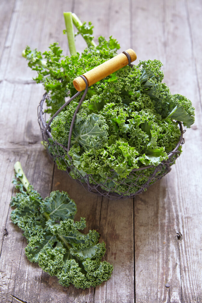 Der beliebte gesunde Grünkohl