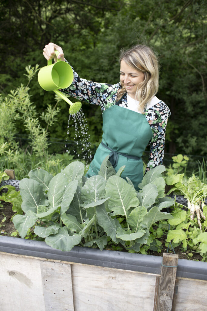 Einfacher Selbstversorger-Garten für Anfänger